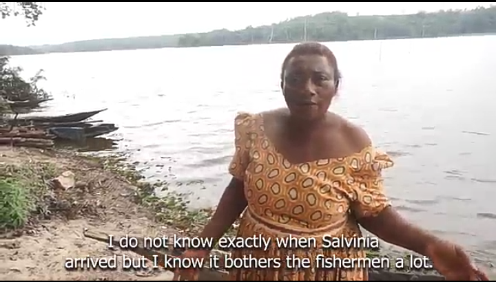 Les pêcheurs du lac Ossa crient leur désespoir face à la Salvinia