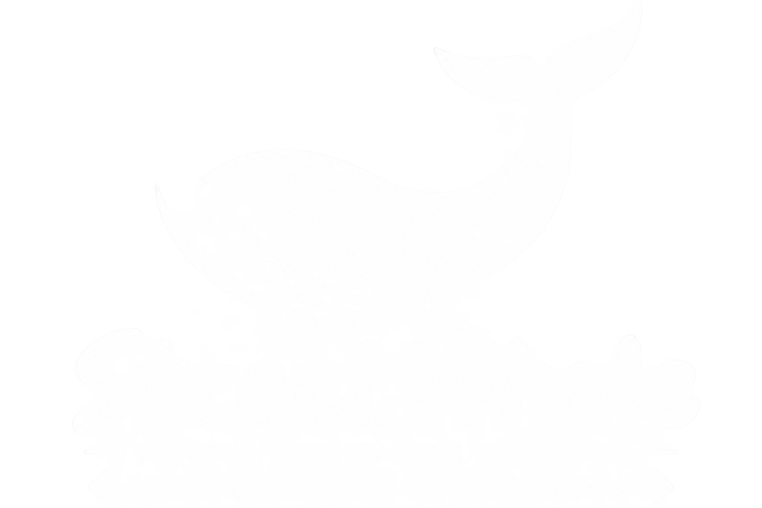 Street Whale 2026 — Central Africa Blue Forum